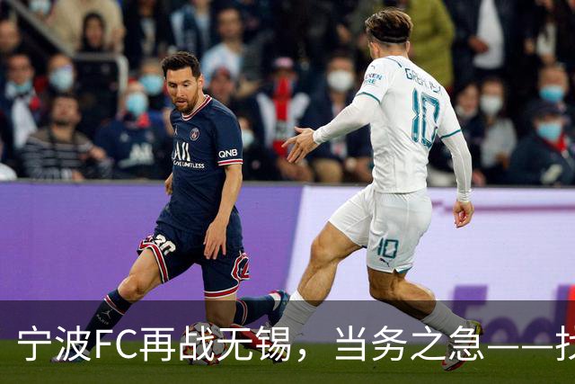 宁波FC再战无锡，当务之急——找到外援托莫维奇的使用说明书