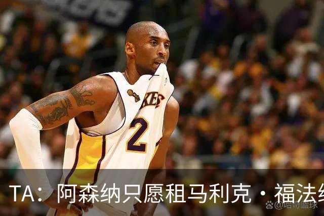 TA：阿森纳只愿租马利克·福法纳，交易最终因内部意见分歧而搁置